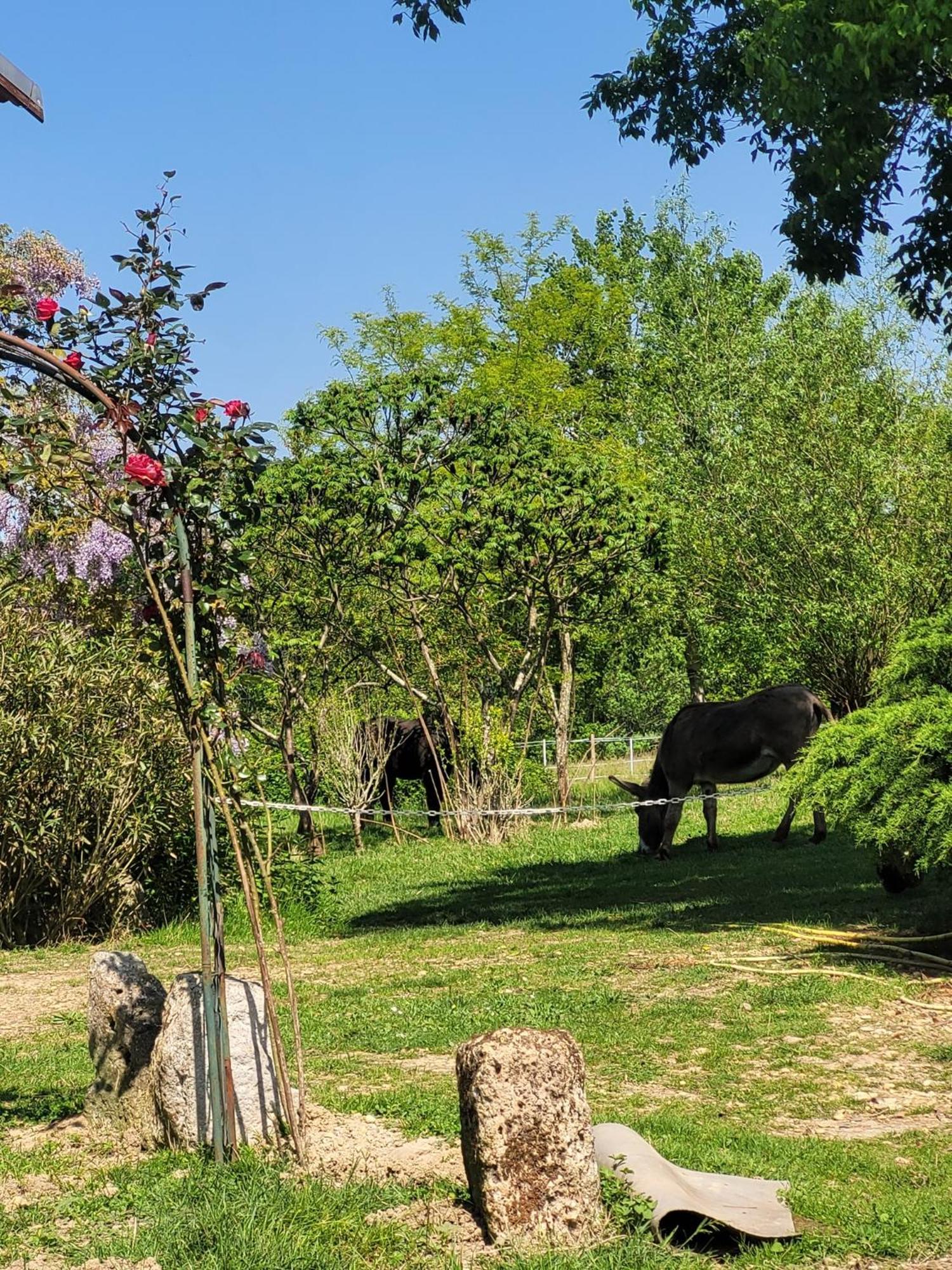 Pey Sud Gaua Bed & Breakfast Sistels Exterior photo